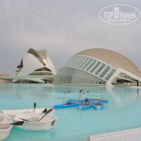 фото из отзыва ID 1635251