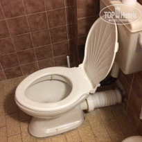 фото из отзыва ID 1635353