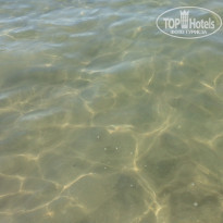 фото из отзыва ID 1635353