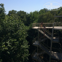 фото из отзыва ID 1635353