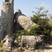 фото из отзыва ID 1635353