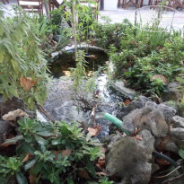 фото из отзыва ID 1635389