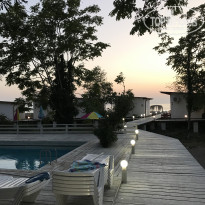 фото из отзыва ID 1635524