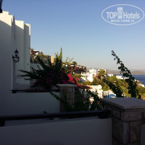 фото из отзыва ID 1635540