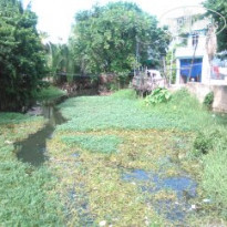 фото из отзыва ID 1635733