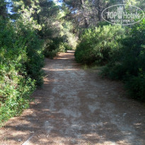 фото из отзыва ID 1635743