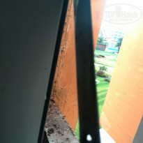 фото из отзыва ID 1635775