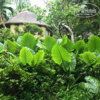 фото из отзыва ID 1635850