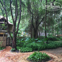 фото из отзыва ID 1635850