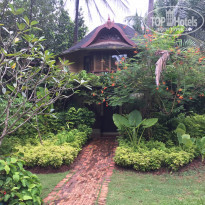 фото из отзыва ID 1635850