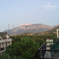 фото из отзыва ID 1635884