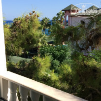 фото из отзыва ID 1636012