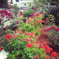 фото из отзыва ID 1636015