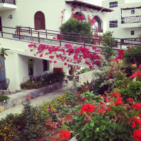 фото из отзыва ID 1636015