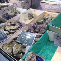 фото из отзыва ID 1636231