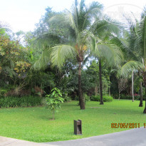 фото из отзыва ID 1636265