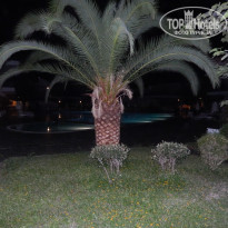 фото из отзыва ID 1636270