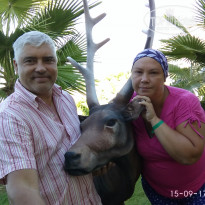 фото из отзыва ID 1636318