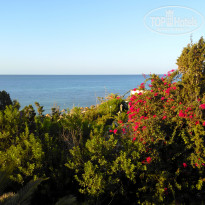 фото из отзыва ID 1636438