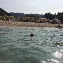 фото из отзыва ID 1635898