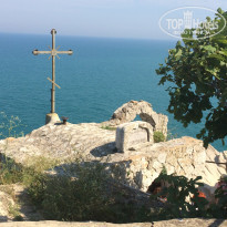 фото из отзыва ID 1635353