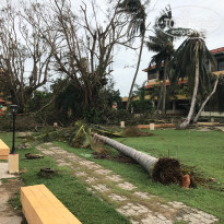 фото из отзыва ID 1636680