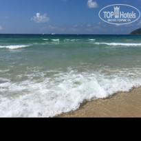 фото из отзыва ID 1636797