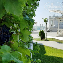 фото из отзыва ID 1636959