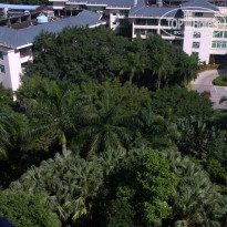 фото из отзыва ID 1637318