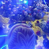 фото из отзыва ID 1637417