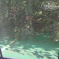 фото из отзыва ID 1637455