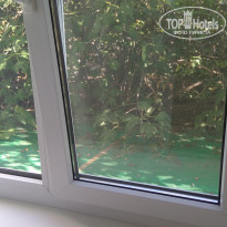 фото из отзыва ID 1637455