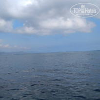 фото из отзыва ID 1637455