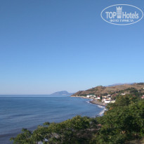 фото из отзыва ID 1637455