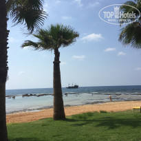 фото из отзыва ID 1637571