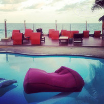 фото из отзыва ID 1637630