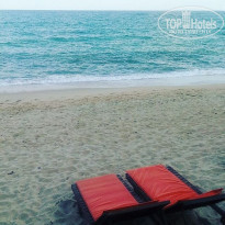 фото из отзыва ID 1637630