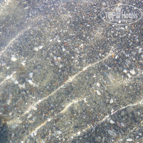 фото из отзыва ID 1637739