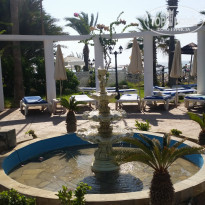 фото из отзыва ID 1637739