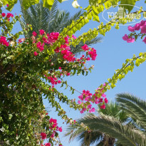 фото из отзыва ID 1637739