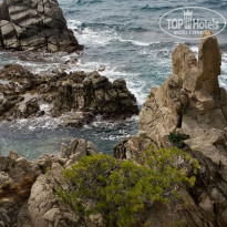 фото из отзыва ID 1637777