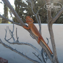 фото из отзыва ID 1637876