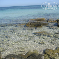 фото из отзыва ID 1637876