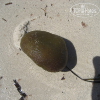 фото из отзыва ID 1637876