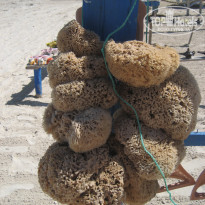 фото из отзыва ID 1637876