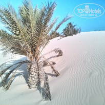 фото из отзыва ID 1637876