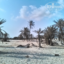 фото из отзыва ID 1637876