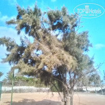 фото из отзыва ID 1637876