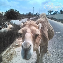 фото из отзыва ID 1637876