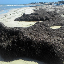 фото из отзыва ID 1637876